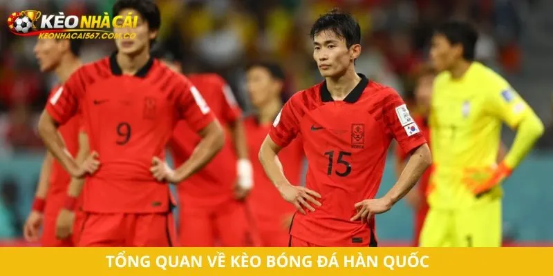 Tổng quan về kèo bóng đá Hàn Quốc