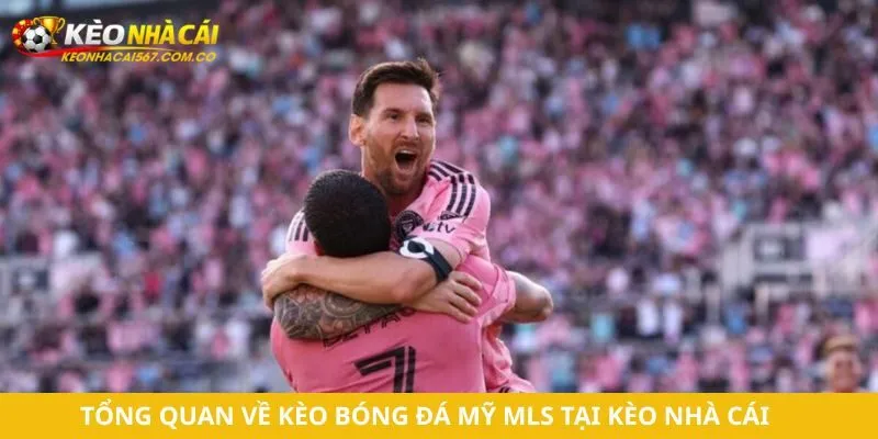 Tổng quan về kèo bóng đá Mỹ MLS tại Kèo Nhà Cái