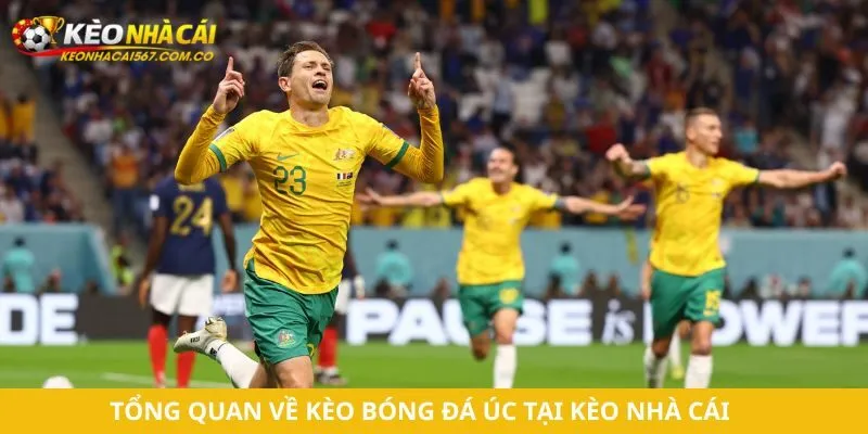 Tổng quan về kèo bóng đá Úc tại Kèo Nhà Cái