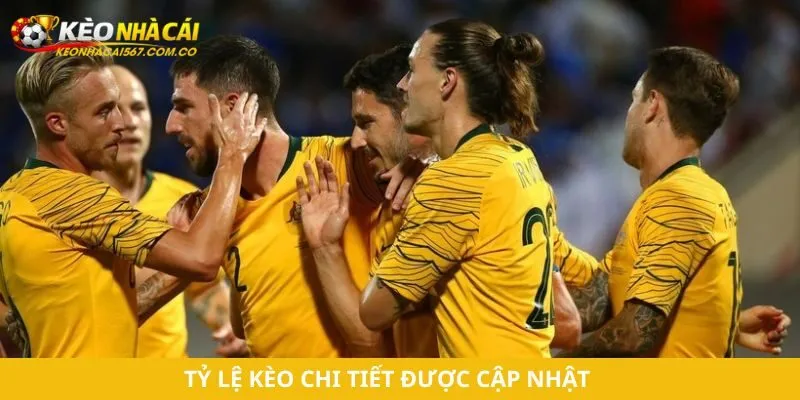 Tỷ lệ kèo chi tiết được cập nhật