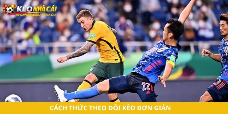 Cách thức theo dõi kèo đơn giản