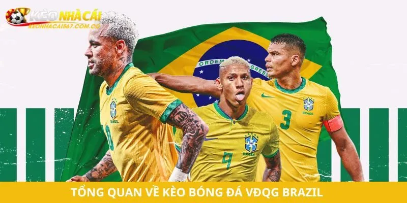 Tổng quan về kèo bóng đá VĐQG Brazil