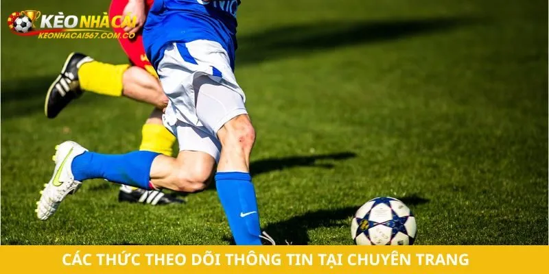 Cách thức theo dõi thông tin tại chuyên trang
