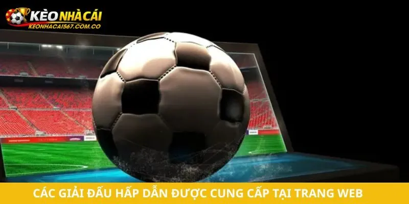 Các giải đấu hấp dẫn được cung cấp tại trang web